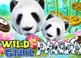  Wild Giant Panda