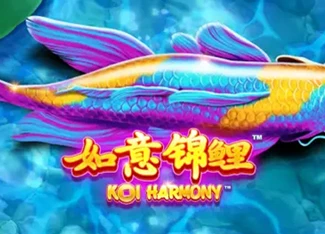  Koi Harmony