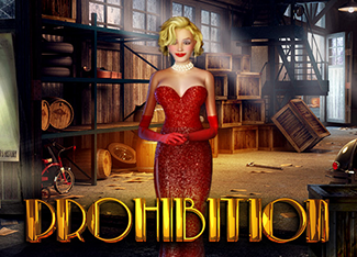  Prohibition