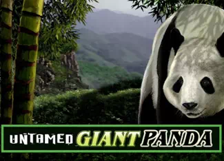  Untamed - Giant Panda