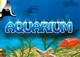  Aquarium