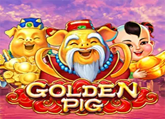  Golden Pig